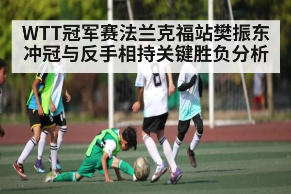 WTT冠军赛法兰克福站樊振东冲冠与反手相持关键胜负分析